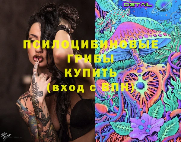 ешки Волосово